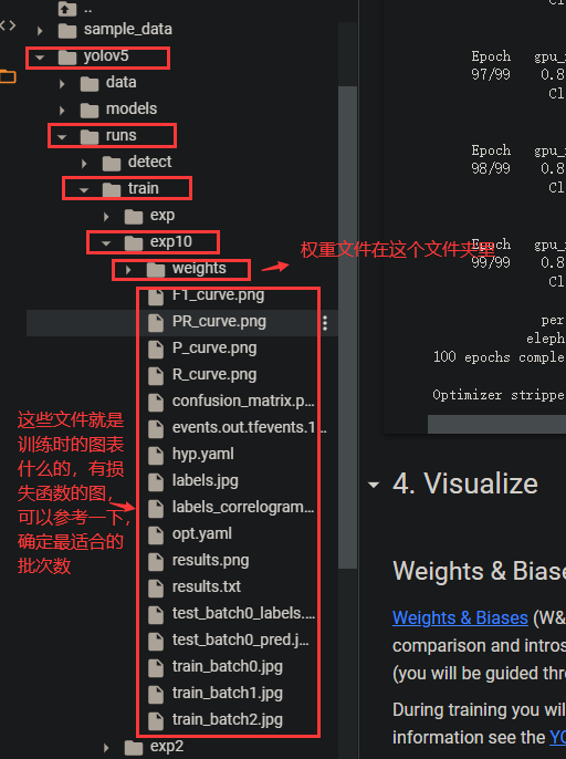 目标检测第6步：YOLOv5（5.0）如何在Colab中训练自定义数据集？（更新时间：2022.3.22）