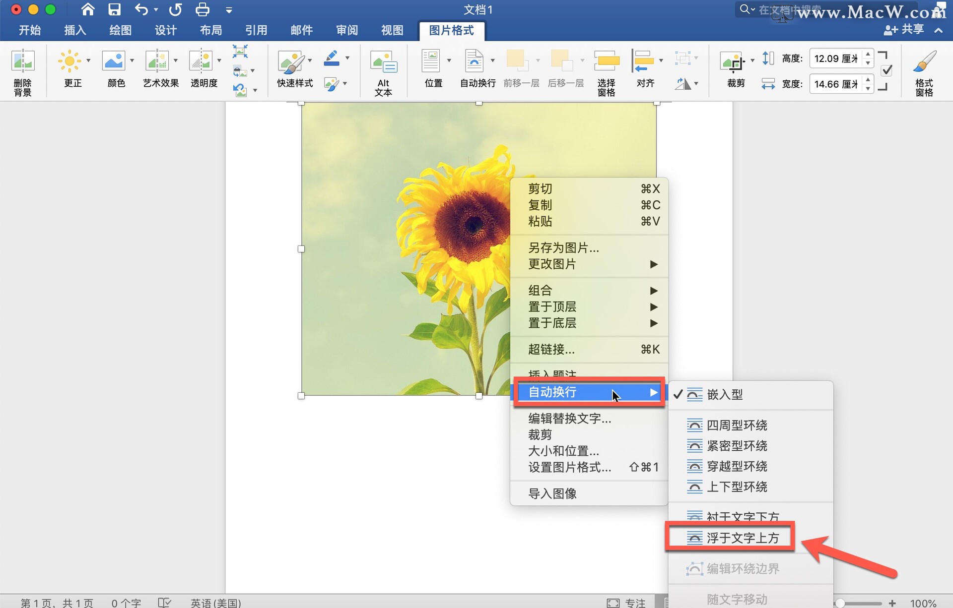 microsoft word 中如何自由移动图片