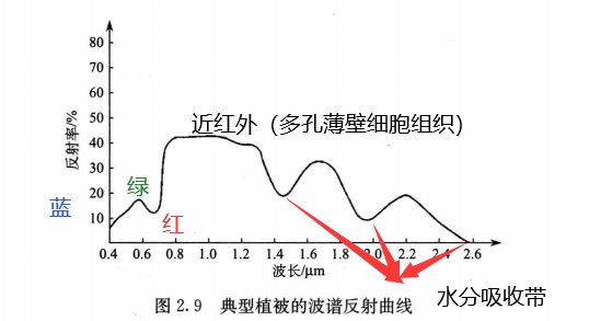 典型植被波谱反射曲线