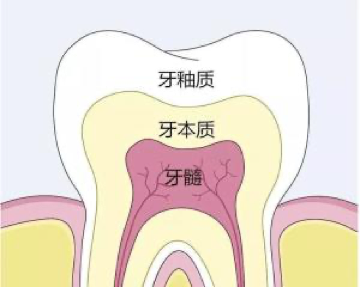 牙齿美白