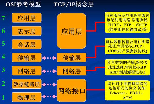 TCP/ IP