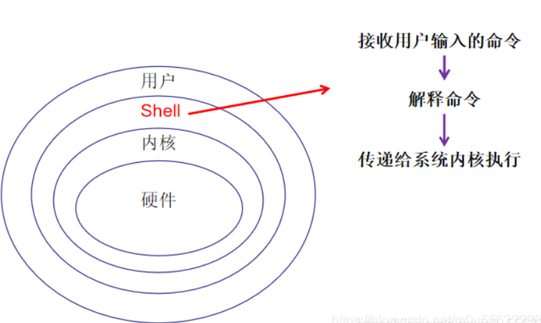 Shell脚本编写规范和相关变量类型 Hydrogen Balloon的博客 Csdn博客