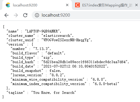 Elasticsearch + Elasticsearch-head下载、配置启动服务_elasticsearch Head下载-CSDN博客