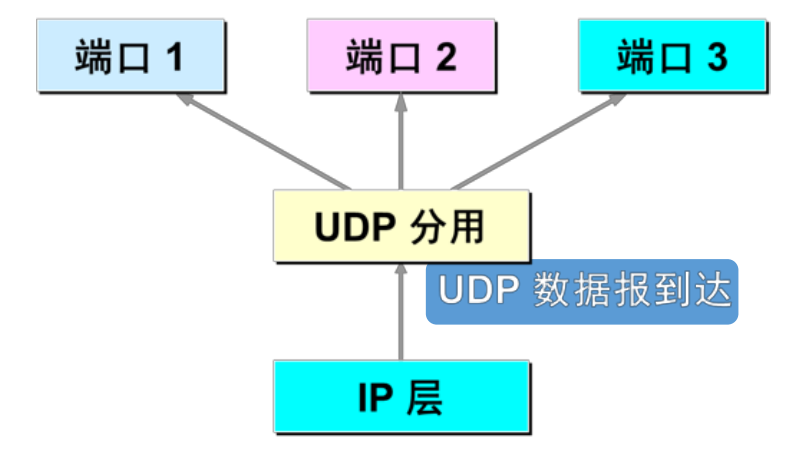 加上udp首部之后,将首部和数据报传到了下层的ip层