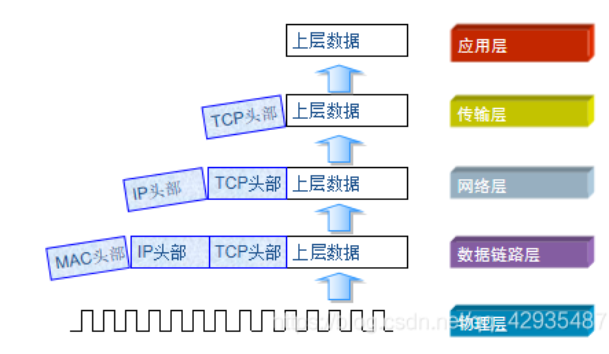 计算机的网络体系以及参考模型