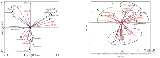 在线分析丨相关性分析——RDA/CCA分析_rda分析图如何解读-CSDN博客