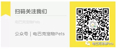 电巴克宠物Pets