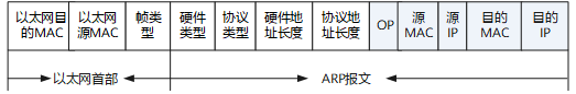 图2  ARP请求和应答报文格式