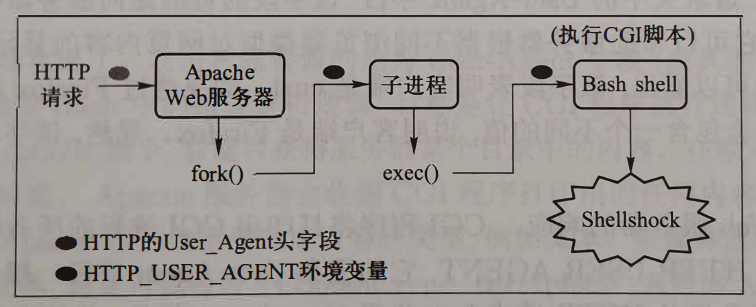 Lab 2 Shellshock Attack Qq 的博客 Csdn博客