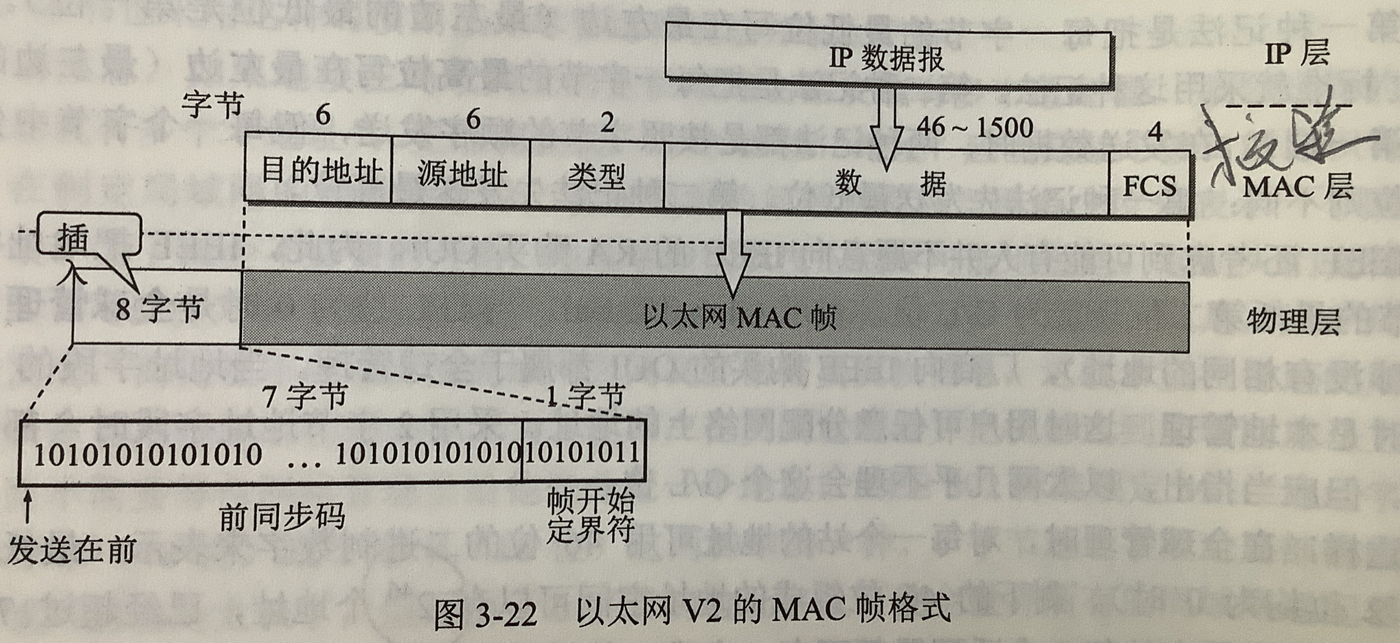 以太网v2的mac格式