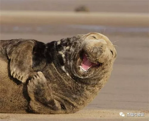 a[0 :8] ,b [15-:8] 什么意思?怎么用?