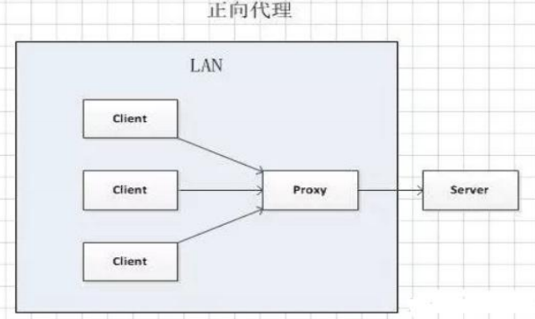 正向代理