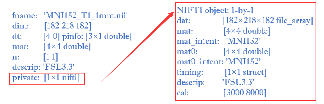 Nifti结构体