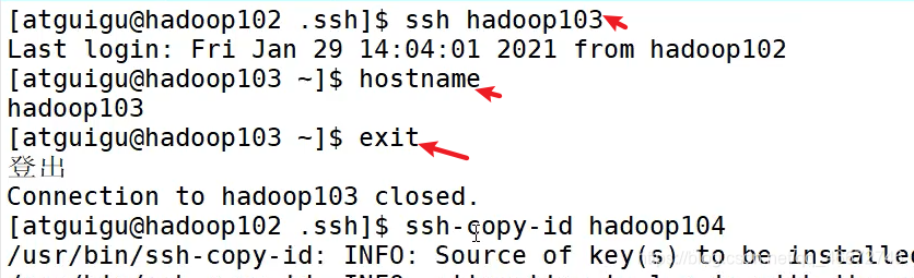 在这里插入图片描述