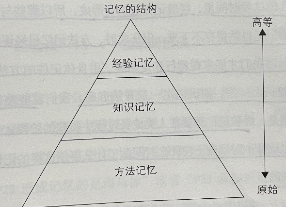 讀《考試腦科學:腦科學中的高效記憶法》筆記_學習能力 腦科學