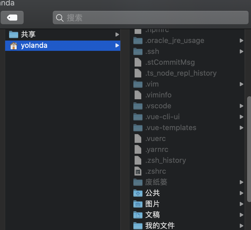 Mac Zsh Command Not Found Npm