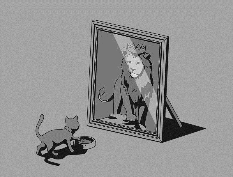 透视变换应用_编程实现:将下图小猫照镜子中的卡通狮子使用透视变换换