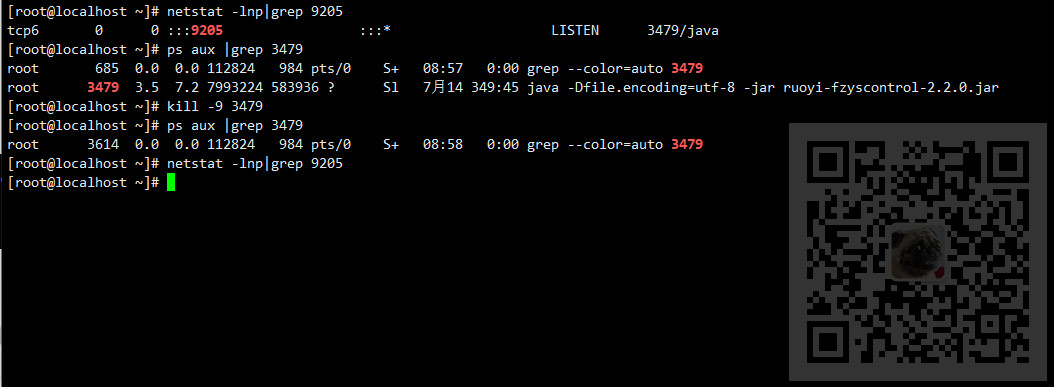 Linux上怎样停止服务(jar包)、查看进程路径、关闭指定端口