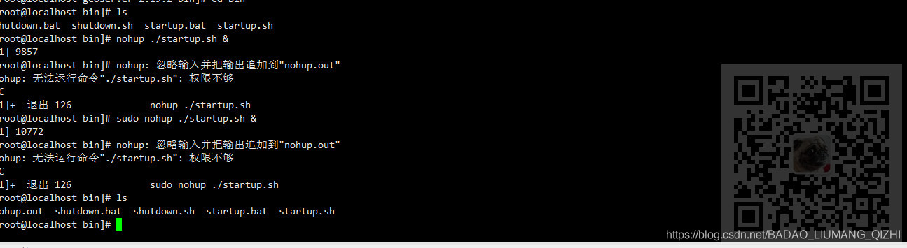 Linux中执行sh文件时提示:nohup: 无法运行命令“./startup.sh“: 权限不够