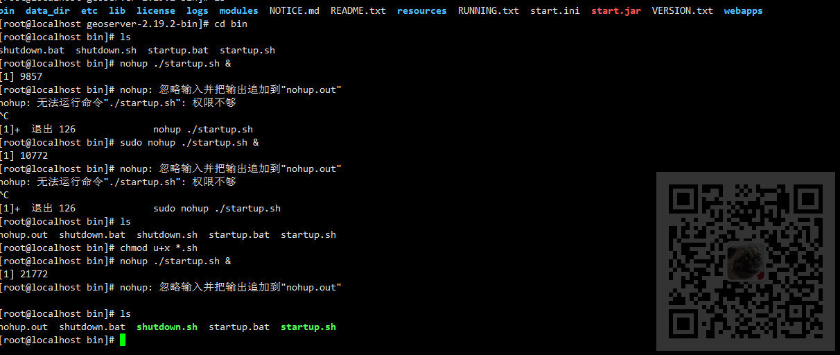 Linux中执行sh文件时提示:nohup: 无法运行命令“./startup.sh“: 权限不够