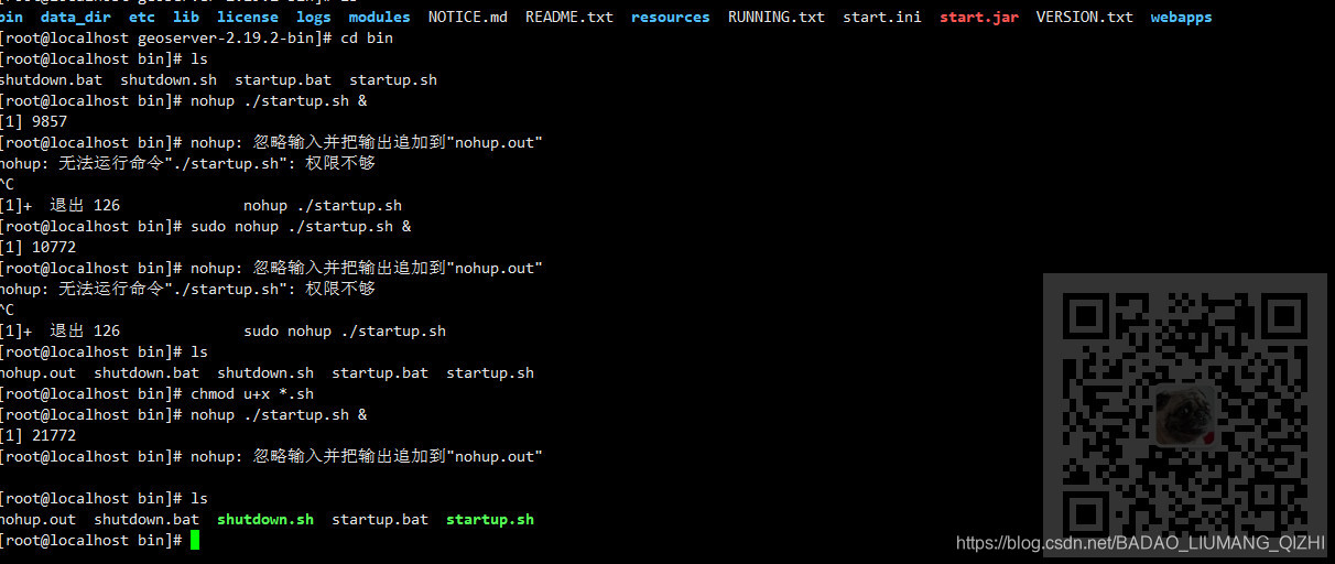 Linux中执行sh文件时提示:nohup: 无法运行命令“./startup.sh“: 权限不够