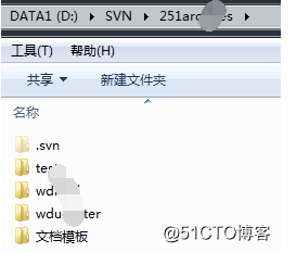 VisualSVN Server svn 迁移至新服务器