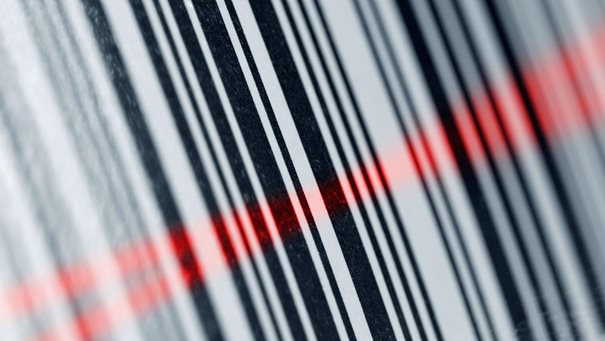 R语言使用虚拟变量(Dummy Variables) 回归分析工资影响因素