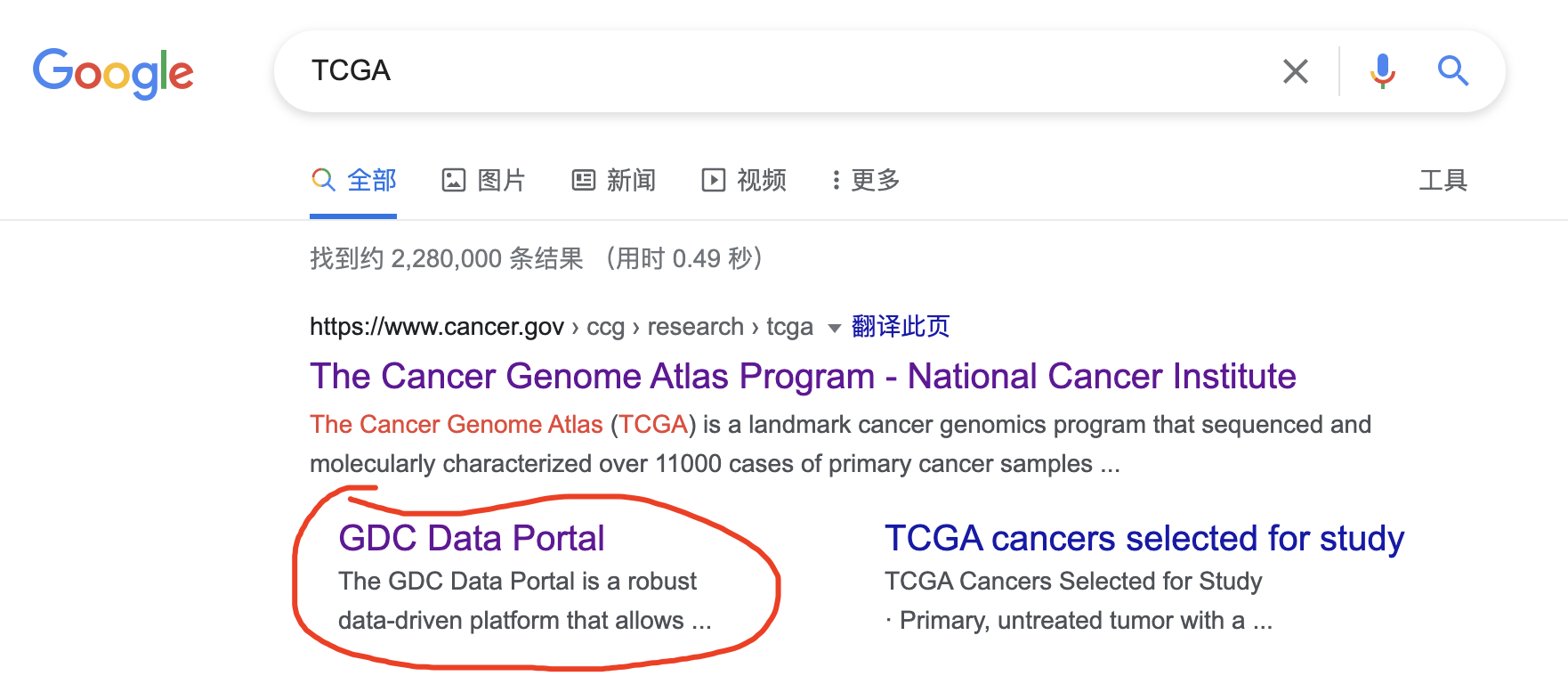 combine-xml-files-into-xls-for-tcga-clinical-data-on-macos-csdn