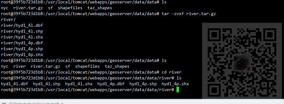 Docker+Tomcat+geoserver+shp发布地图服务