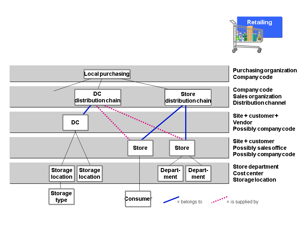 SAP Retail Organizational Structure_sap organization structureCSDN博客