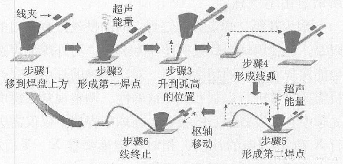 动物解剖固定装置