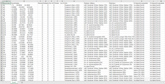 Brainstorm + Fieldtrip IEEG定位及分区教程
