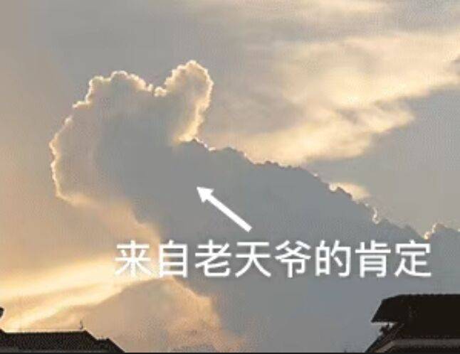 C语言刷题小结---矩阵篇
