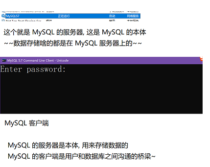 MySQL数据库（基础）