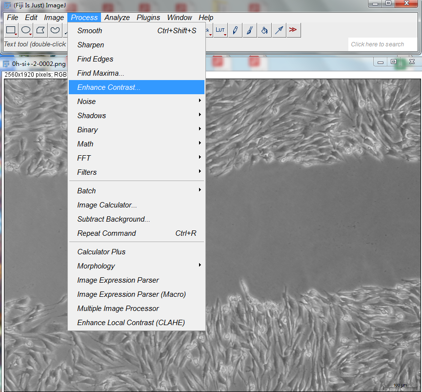 ImageJ划痕实验分析_划痕数据处理-CSDN博客