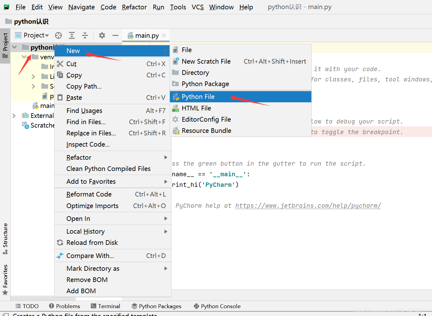 认识python_懒洋洋开源代码-CSDN博客