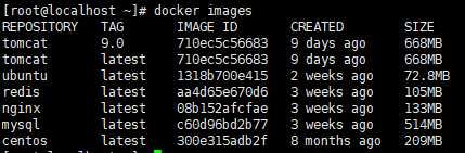 Docker学习笔记_li-shaoyu的博客