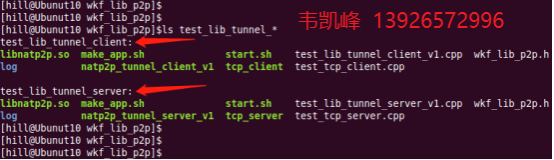 免费P2P穿透通信(5) Tunnel隧道映射模块测试使用