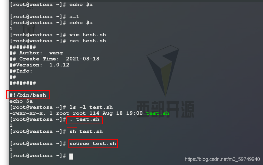 Shell脚本中的变量 李牛克斯小学生的博客 Csdn博客 Shell 中定义变量 Shell脚本中的变量 李牛克斯小学生的博客 Csdn博客 Shell 中定义变量