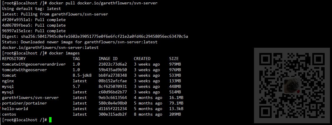 CentOS7中使用Docker安装SVN以及配置账号权限