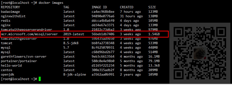 CentOS中使用Docker安装SqlServer以及遇到的那些坑