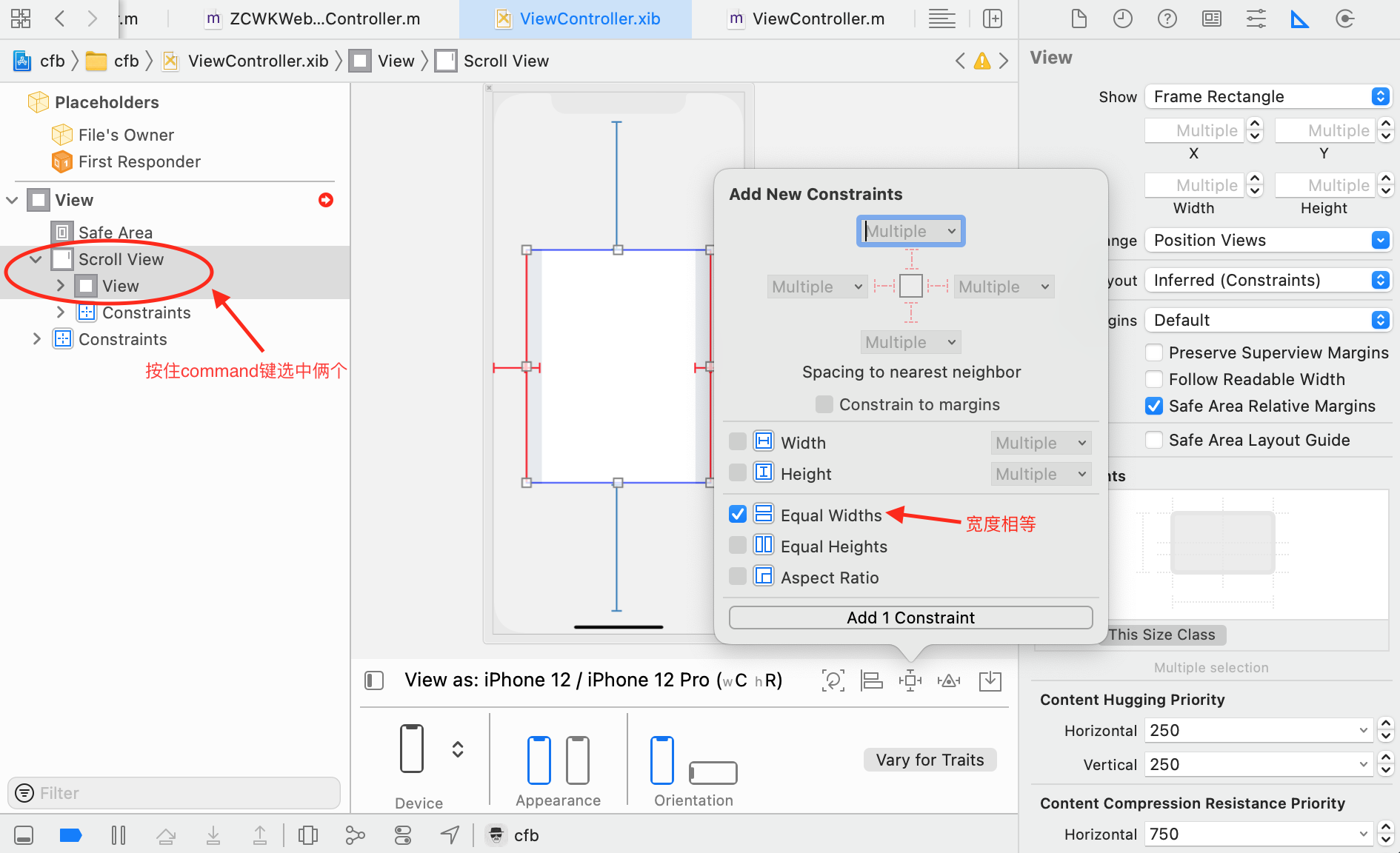  Xib Storyboard UIScrollView has Ambiguous Scrollable Content