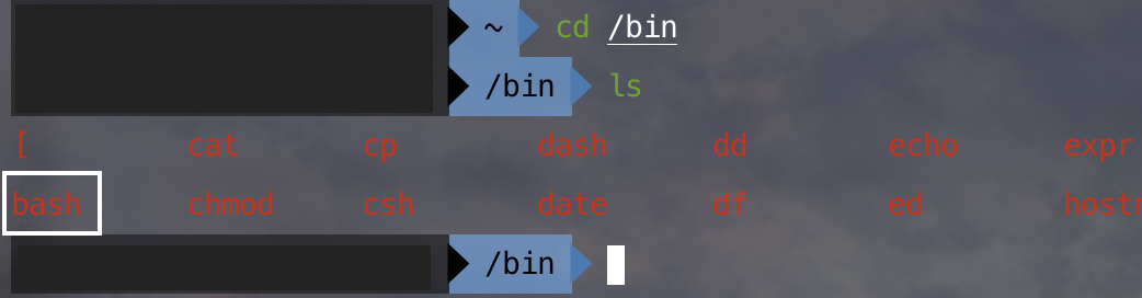 Linux Bin Bash 和 Usr Bin Env Bash 的区别 放羊的牧码的博客 Csdn博客