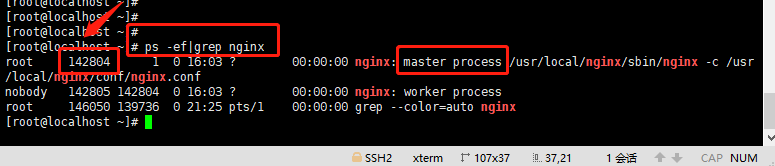 linux nginx启动停止命令_重启后没有nginx