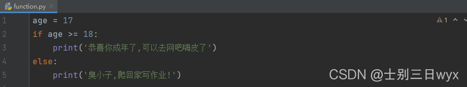 Python基础(if判断语句/逻辑运算符)