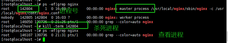 linux nginx启动停止命令_重启后没有nginx