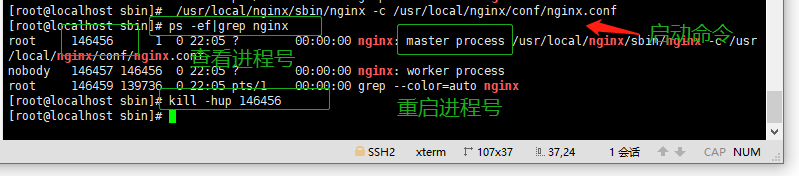 linux nginx启动停止命令_重启后没有nginx
