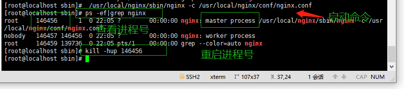 linux nginx启动停止命令_nginx无法启动