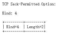 wireshark 重传率_TCP协议的确认重传机制 (https://mushiming.com/)  第1张