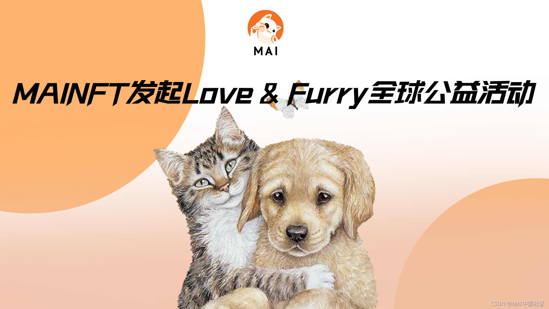 MAINFT发起Love Furry全球公益活动